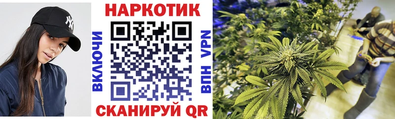 Псилоцибиновые грибы Зима