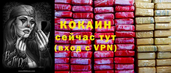 ГАЛЛЮЦИНОГЕННЫЕ ГРИБЫ Покровск